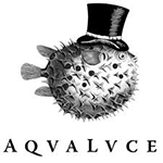 Aqva Lvce